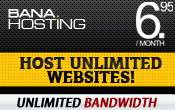 Hosting rapido seguro y economico