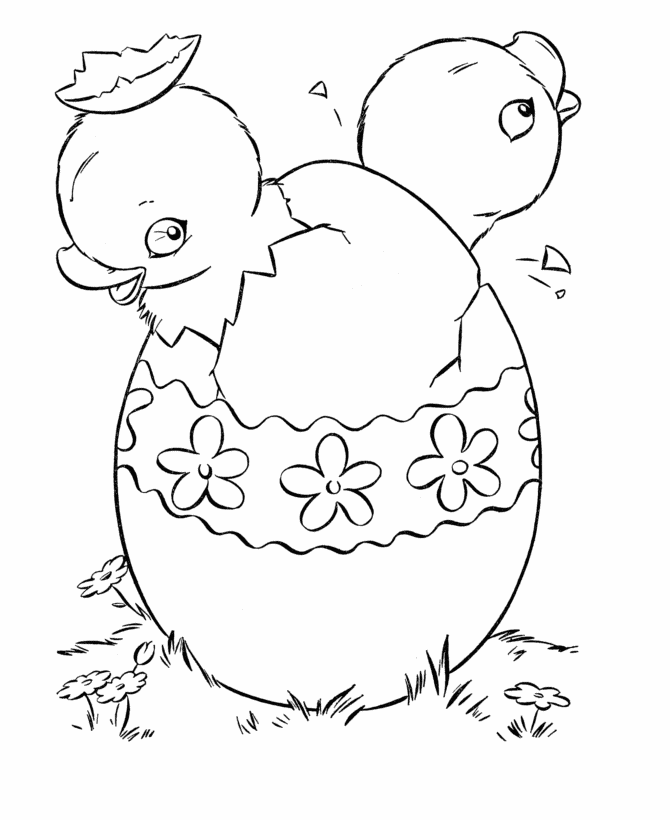 easter chick coloring pages  hatching baby chicks easter