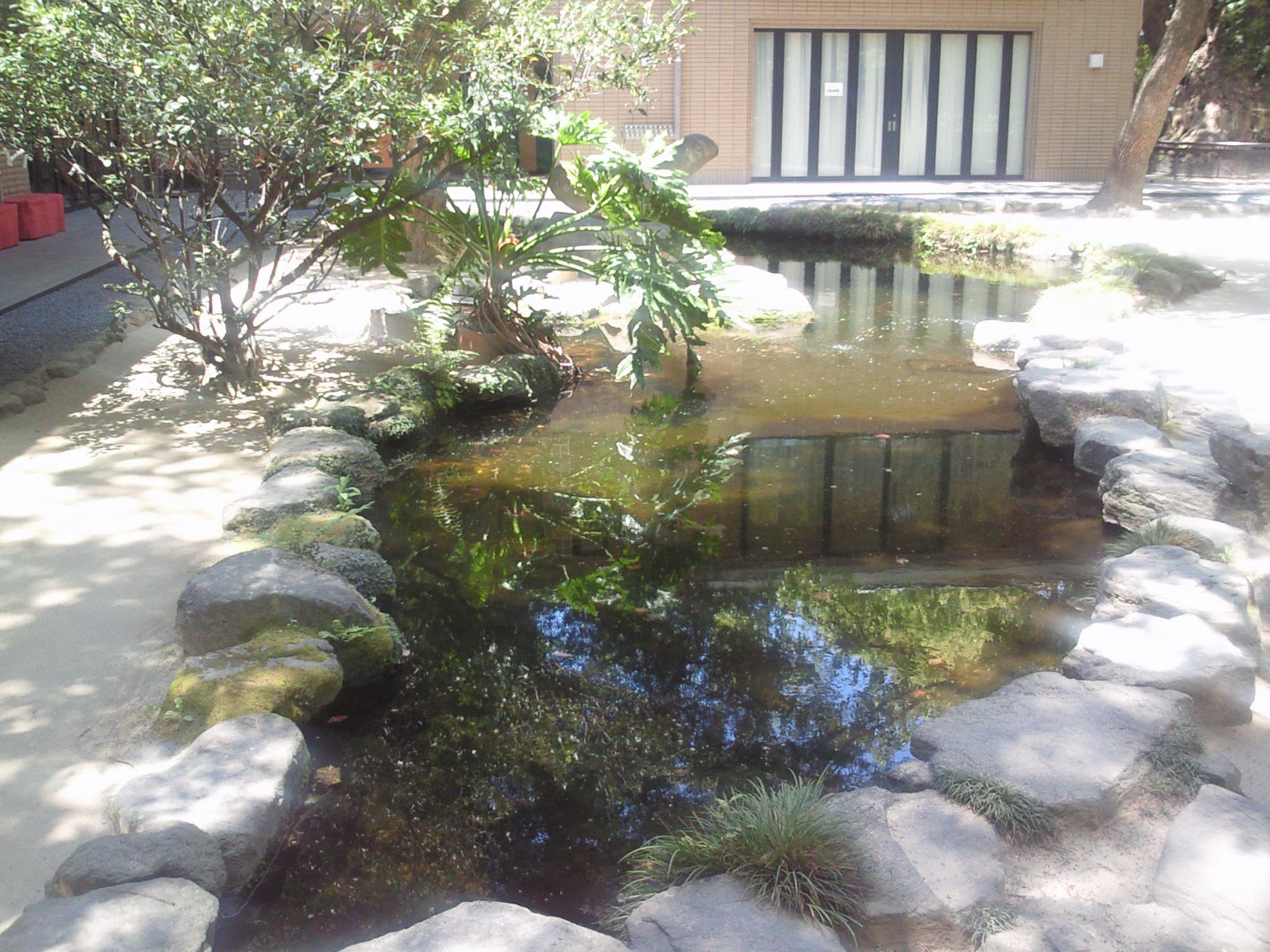 日本庭園 和風建築を中心にお気に入りの和の空間 小さな静かな癒しの池と生き物