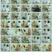 imagebam.com