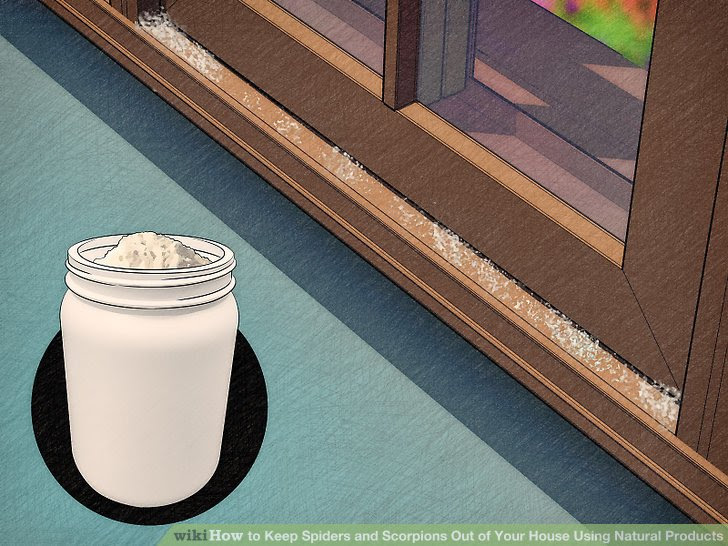 Keep Spiders and Scorpions Out of Your House Using Natural Products Step 3.jpg