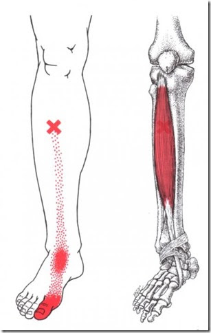 ankle pain while running (450x712)