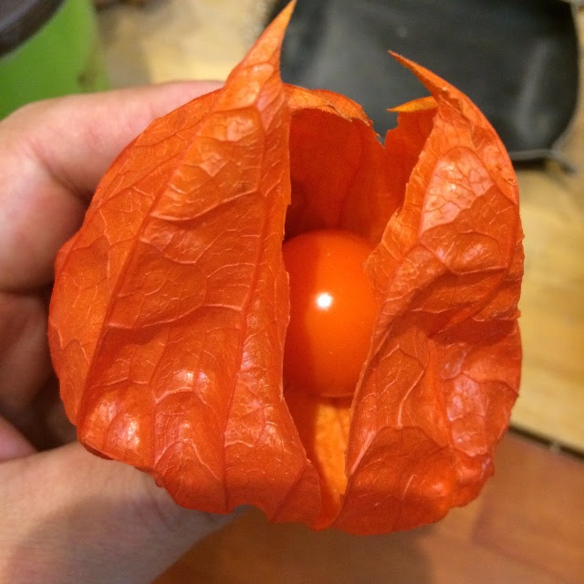 鬼灯 ほおずき 笛の作り方 ハニィドグゥ