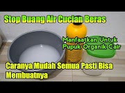 Konsep Pupuk Organik Cair Dari Air Cucian Beras, 