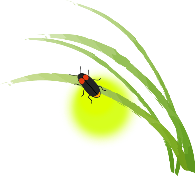 蛍 ホタル のイラスト 無料イラスト フリー素材