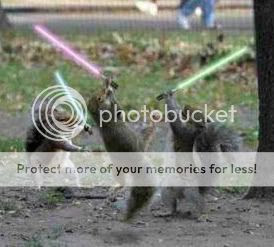 Jedi Squirrels