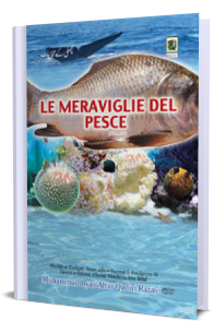 Le meraviglie del pesce