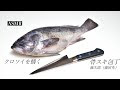セリア ウロコ取り 魚 283352-セリア ウロコ取り 魚