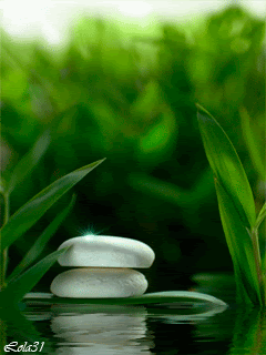  photo ambiente-zen-974973.gif