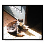 happiness is a sunbeam.. poster