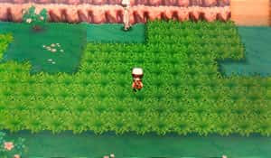 ポケモンサーチで色違い 隠れ特性を狙うコツ 連鎖方法まとめ Oras攻略de Com