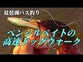 琵琶湖 ルアー釣り 206740-琵琶湖 ルアー釣り