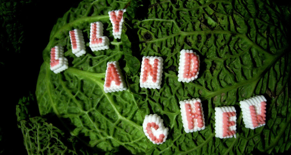 lily & chew banner