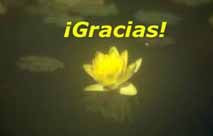 Recuerda decir 