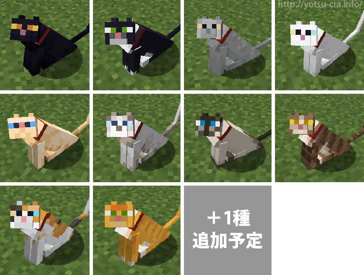 マインクラフト 猫の見た目全種類まとめ 村から連れて帰ろう