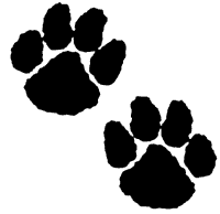 http://www.carstickers.com/Dog_Car_Stickers_and_Decals.php