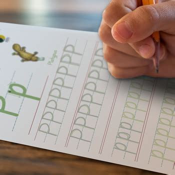  wattle and wren creations teaching resources teachers pay teachers