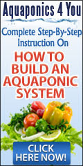Aquaponics 4 You