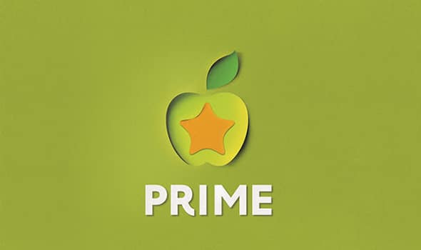 Prime-Star---fast-food-restaurant-chain