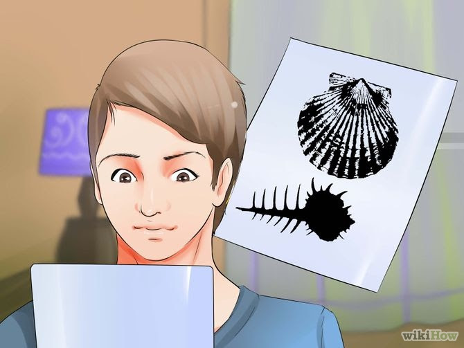 Identify Prints Step 1 Version 2.jpg