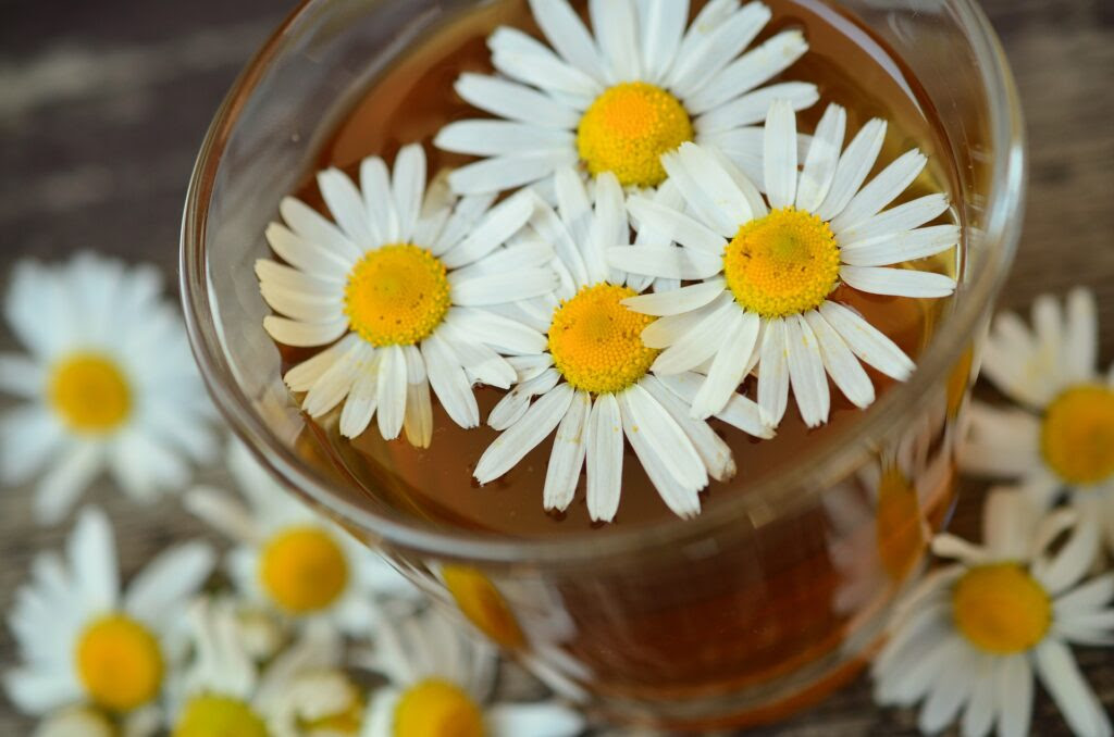 3月14日 誕生花 カモミール カフェ ひととき