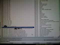 Trojan Fake Antivirus software.