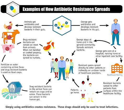 drug resistance microbial antibiotic resistance