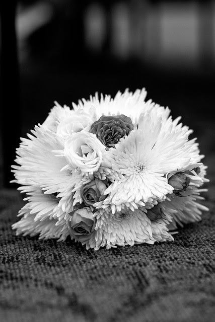IMG_0573-Edit.jpg