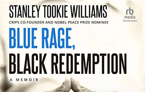 Download Blue Rage, Black Redemption: A Memoir Free PDF PDF