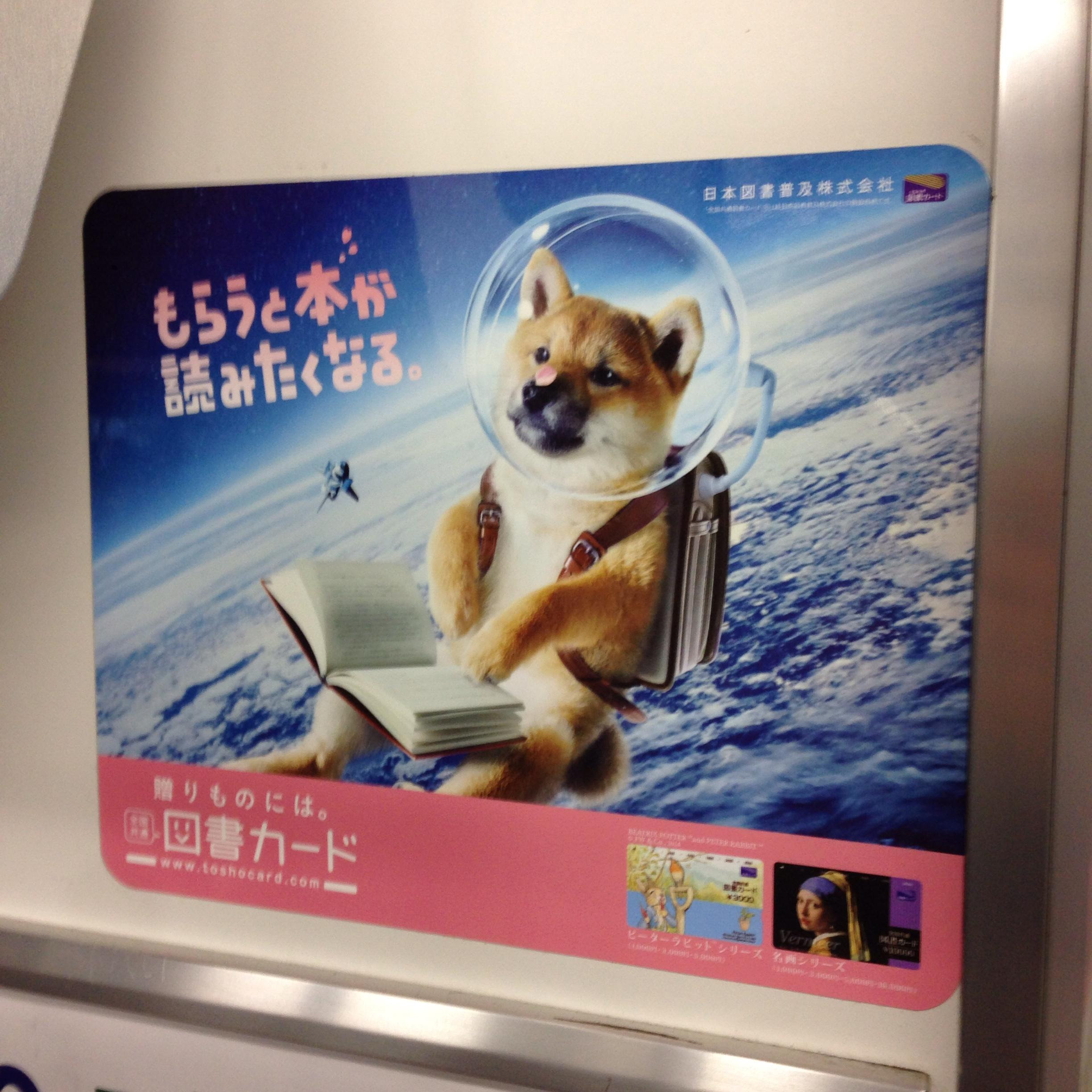 I just saw this on the train here in Tokyo. Dogecoin to ...