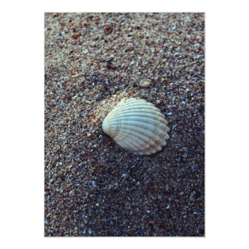 Snailshell Magnetic Invitations