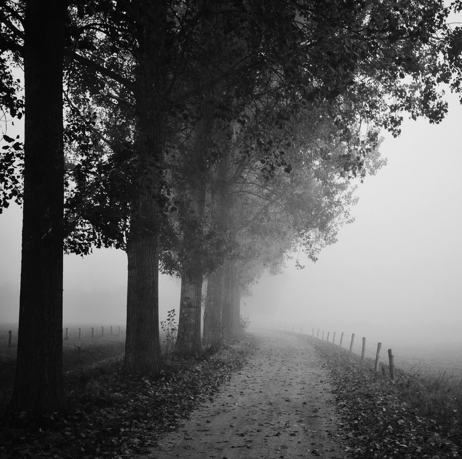 500px favs, rg443