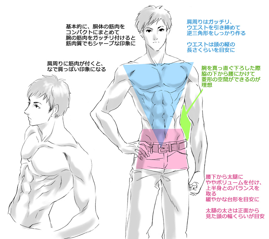 お絵描き講座 筋肉の描き方 幸坊のうふふのふ