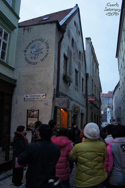 DSC01911.jpg