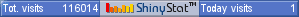 Website counter
