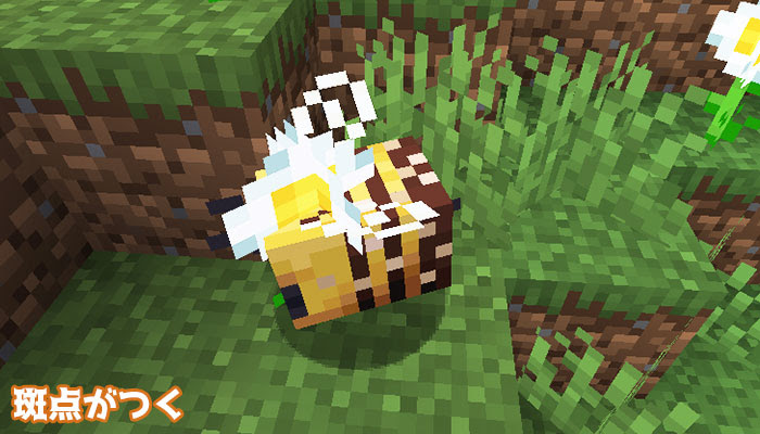 ミツバチのスポーン地域や習性 ハチミツの採取方法は マイクラ新mob マイクラモール