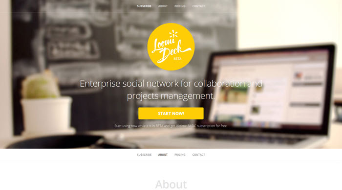 loomideck.com site design