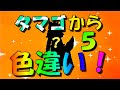 [最も好ましい] ポケモン xy たまご 362397-ポケモン xy �� 産まない