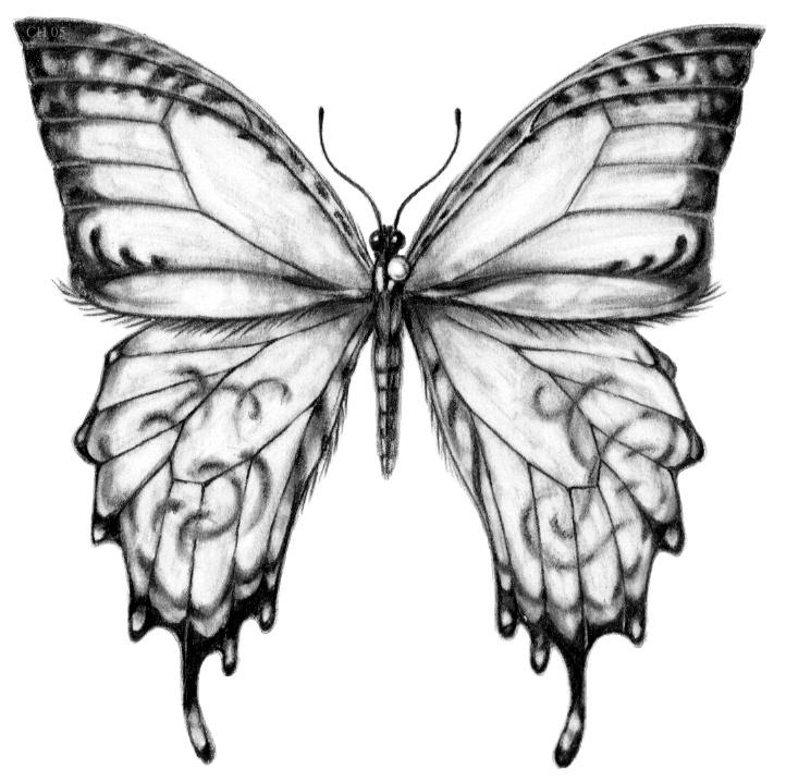 butterfly tattoo designs