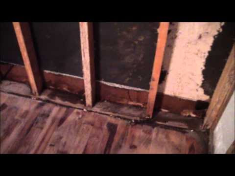 Gambar Water Damage Home