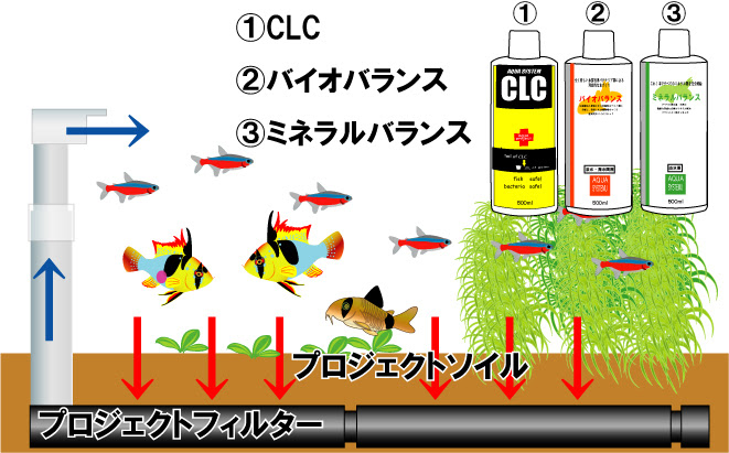株式会社アクアシステム ホームページ ａｓｐ方式 ｑ ａ