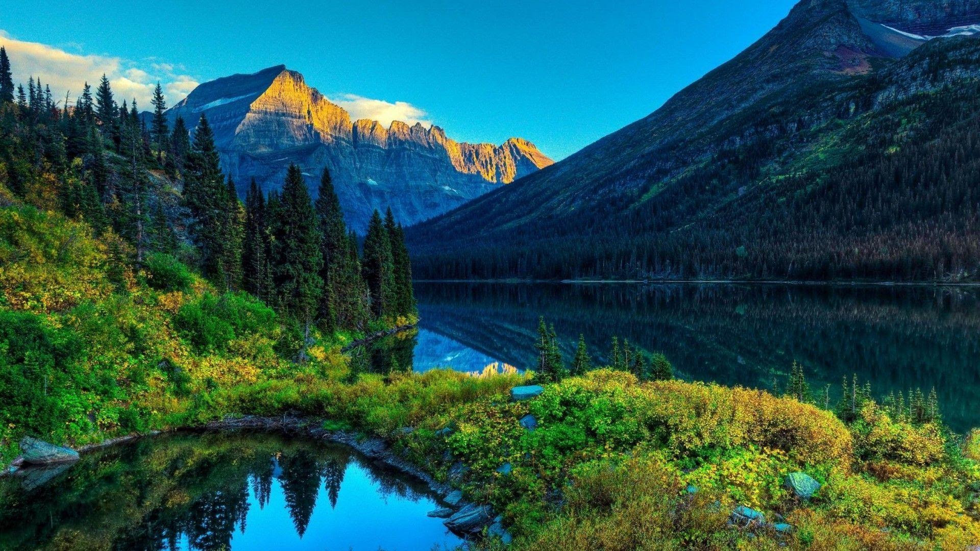 HD Nature Wallpaper Best Quality wallpaper kelas HD Nature Wallpaper Best Quality wallpaper kelas