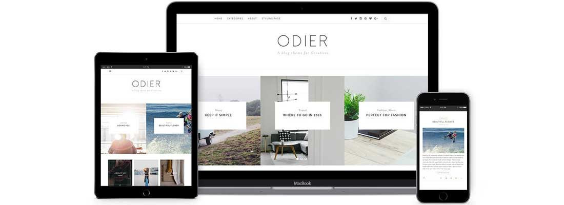 Odier--best wordpress blogging themes