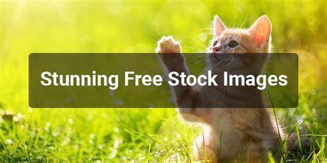 brilliant websites   stock images