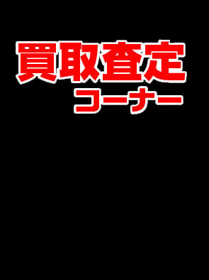 Bigin ワールドフィッシュ ビッグイン