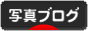 にほんブログ村 写真ブログへ