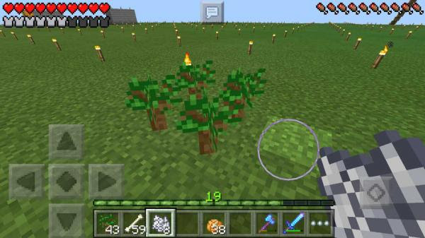 ダークオークの植林です のんびりマイクラpe