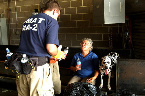 animal rescue
