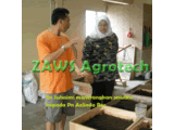 AZR di ZAWS -S