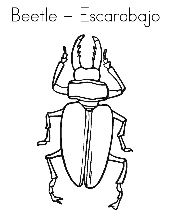Free Printable Bug Coloring Pages For Kids